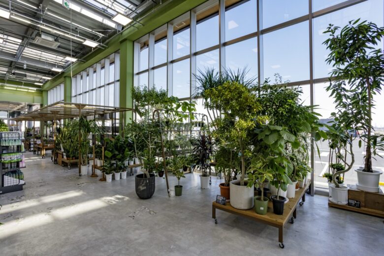 次世代型「カインズ吉川美南店」12月11日開業 八潮・三郷エリアの暮らしを変える新拠点