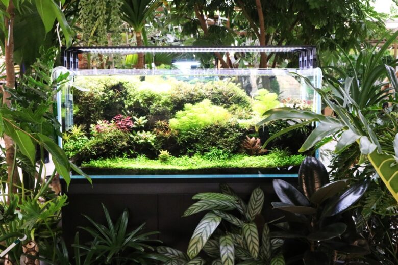 次世代型「カインズ吉川美南店」12月11日開業 八潮・三郷エリアの暮らしを変える新拠点