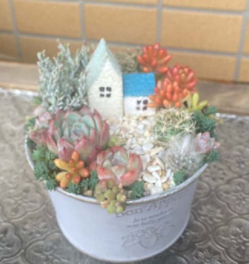 多肉植物で箱庭づくりに挑戦　りらーと八幡で全2回の制作講座開催
