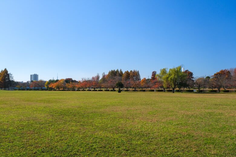  秋のみさと公園 自由広場