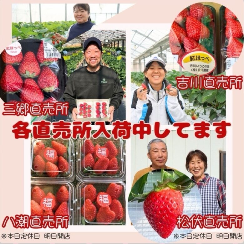 JAさいかつ各直売所で旬のイチゴが続々入荷 吉川・三郷・八潮・松伏で冬の味覚