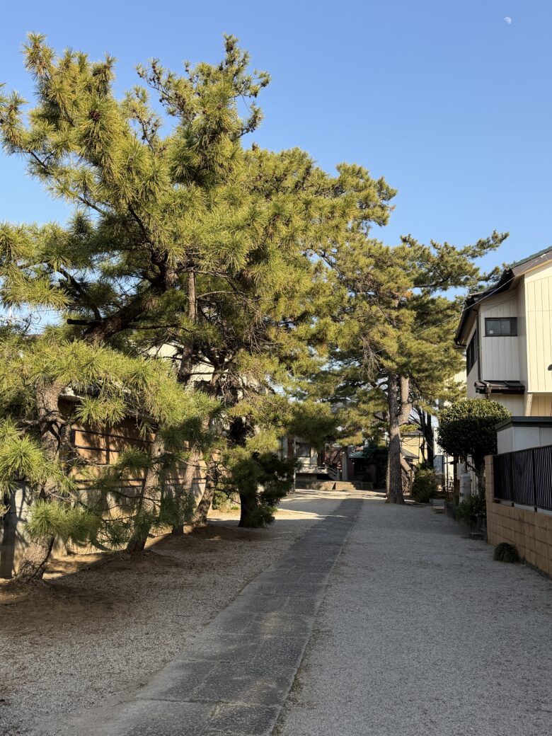 後谷八幡神社　八潮市南後谷の神社