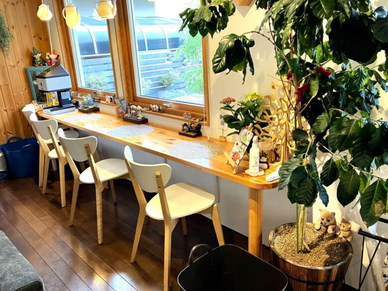 【八潮市】ねこたちに囲まれる北欧風カフェで、からだ想いのランチ時間【過去記事】