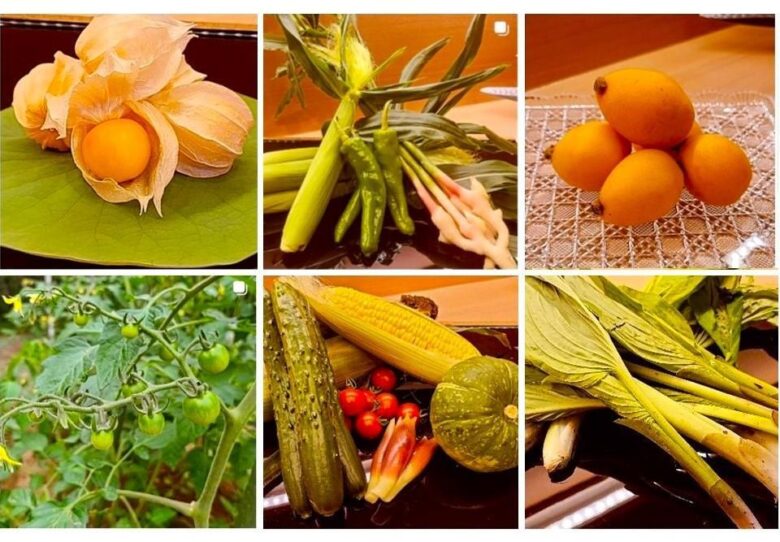 「本格和食は敷居が高い」をくつがえす一軒 八潮・日本料理おん田の昼御膳