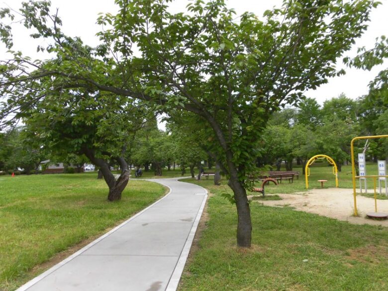 早稲田公園