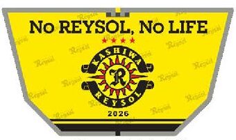 TXで運行開始 柏レイソル一色の特別列車「レイソルエクスプレス」