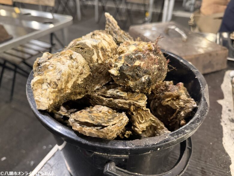 今年もこの季節がやってきた。フレスポ八潮に「出張カキ小屋 牡蠣奉行」期間限定オープン
