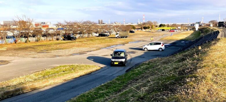 【八潮市】花桃・菜の花・ネモフィラ…四季で巡る中川やしおフラワーパーク