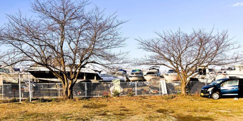 【八潮市】花桃・菜の花・ネモフィラ…四季で巡る中川やしおフラワーパーク