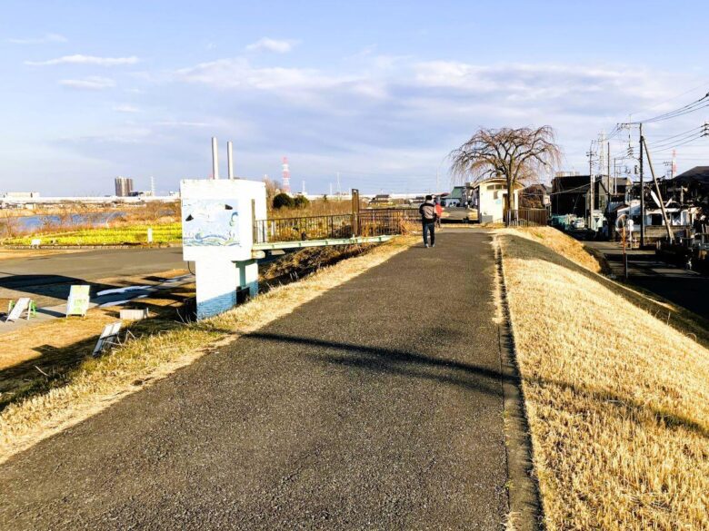 【八潮市】花桃・菜の花・ネモフィラ…四季で巡る中川やしおフラワーパーク
