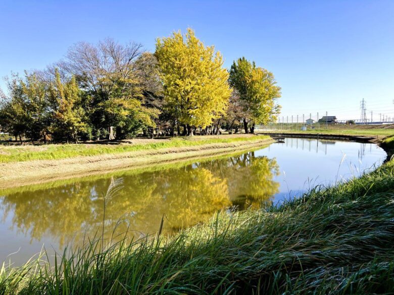 【八潮市】花桃・菜の花・ネモフィラ…四季で巡る中川やしおフラワーパーク