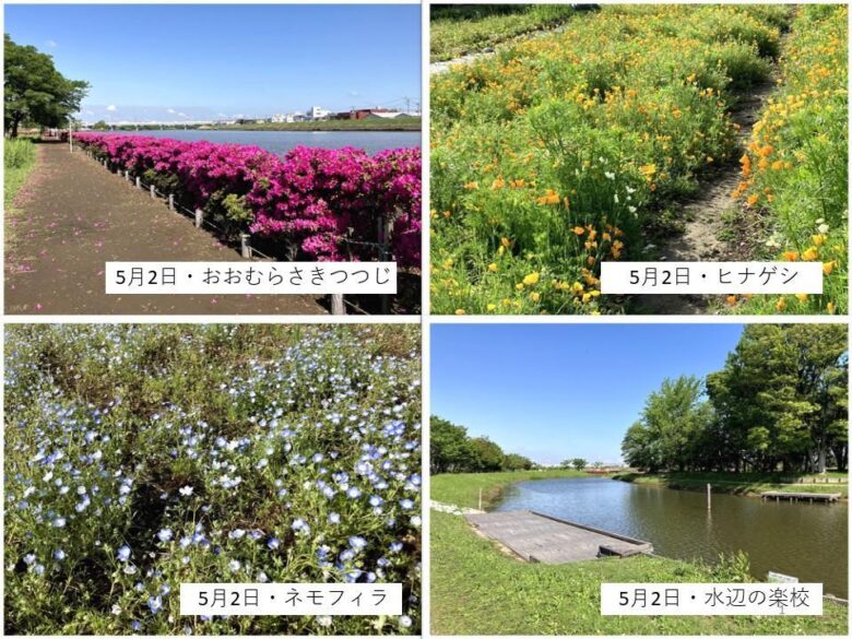 【八潮市】花桃・菜の花・ネモフィラ…四季で巡る中川やしおフラワーパーク