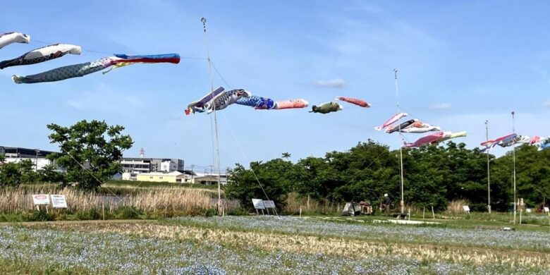 【八潮市】花桃・菜の花・ネモフィラ…四季で巡る中川やしおフラワーパーク