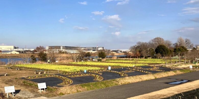 【八潮市】花桃・菜の花・ネモフィラ…四季で巡る中川やしおフラワーパーク