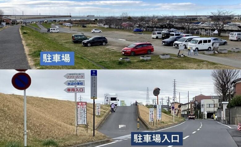 【八潮市】花桃・菜の花・ネモフィラ…四季で巡る中川やしおフラワーパーク