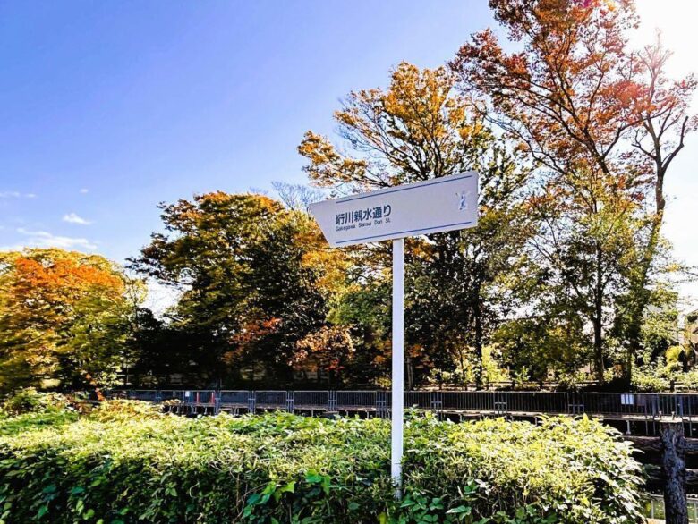 日本唯一の地名「垳」を歩く。垳地蔵の歩んだ380年前の街道をたどる道を追う【過去記事】