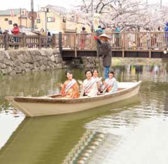 第38回草加さくら祭り開催 葛西用水の桜並木で春満開の1週間