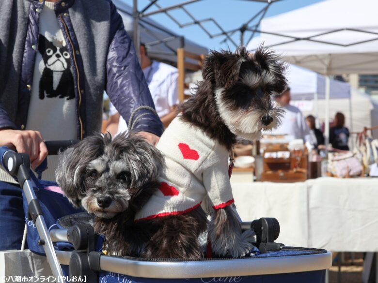 春の草加で愛犬と楽しむ2日間　「おいしいマルシェ×いぬのおまつり in 草加」レポート