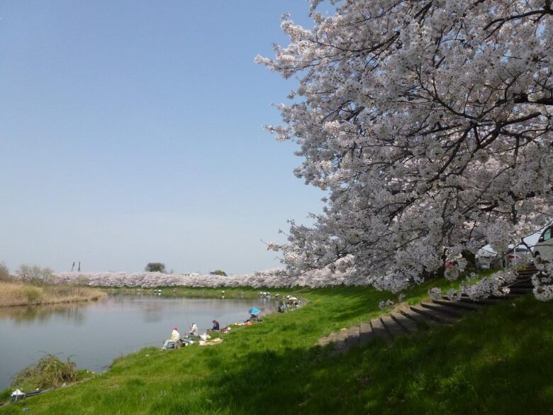 びん沼川びん沼調節池さいたま市、川越市、富士見市
