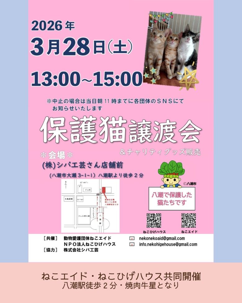 八潮駅近くで保護猫譲渡会を開催　3月28日、チャリティ販売も同時実施