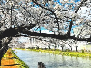 八潮を流れる「葛西用水」が世界かんがい施設遺産へ　県内3例目の認定決定