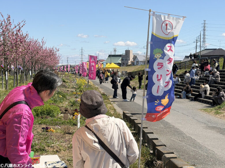八潮の春を彩る「第20回 花桃まつり」開催　中川やしおフラワーパークに花桃と菜の花の絶景