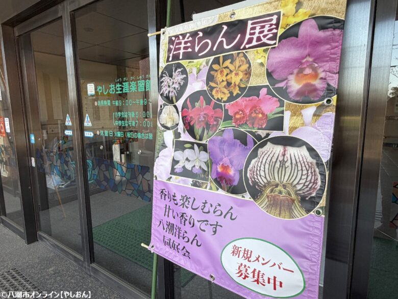 春の彩りが会場を包む「やしお春の洋らん展」開催 リニューアル前の楽習館で最後の展示