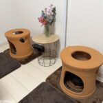 八潮市南川崎「ONKATSU HOUSE」で体験！よもぎ蒸しの魅力と温活ケアを徹底レポート