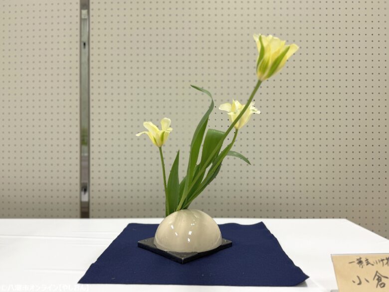 第27回八潮市華道展が開催 多彩な流派が競演する春の花の祭典