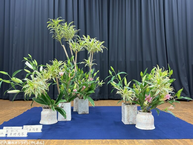 第27回八潮市華道展が開催　多彩な流派が競演する春の花の祭典