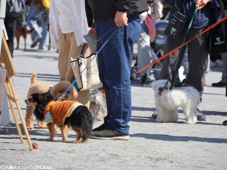 春の草加で愛犬と楽しむ2日間　「おいしいマルシェ×いぬのおまつり in 草加」レポート