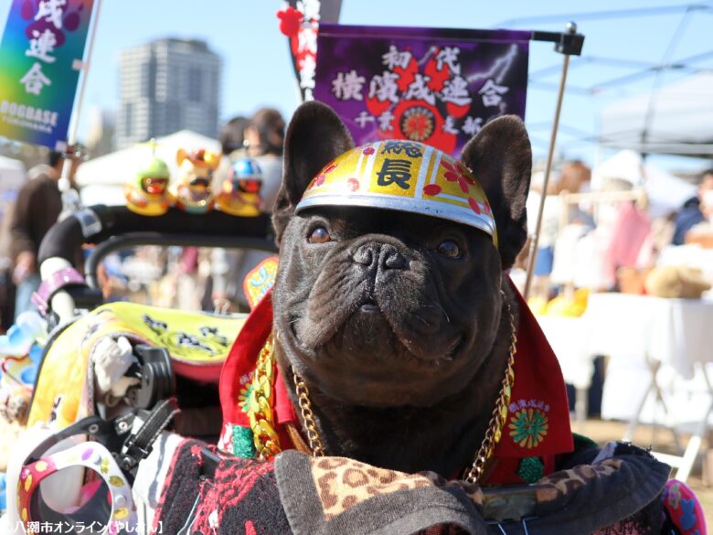 春の草加で愛犬と楽しむ2日間　「おいしいマルシェ×いぬのおまつり in 草加」レポート