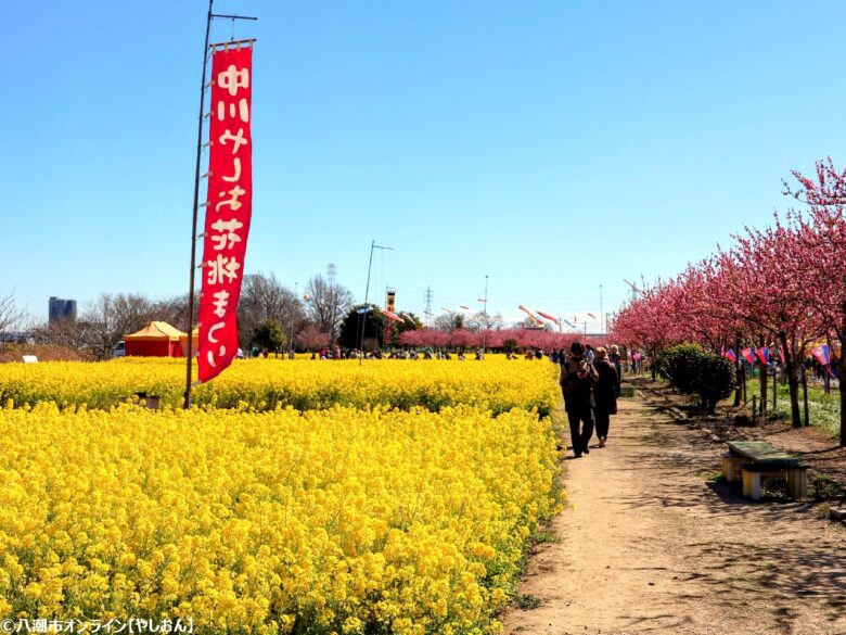 八潮の春を彩る「第20回 花桃まつり」開催 中川やしおフラワーパークに花桃と菜の花の絶景