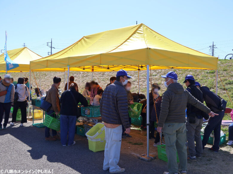 八潮の春を彩る「第20回 花桃まつり」開催 中川やしおフラワーパークに花桃と菜の花の絶景