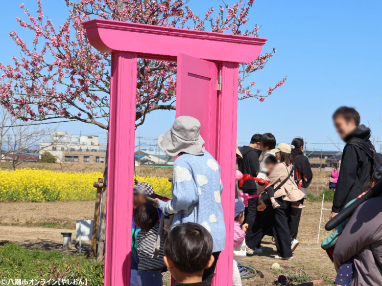 八潮の春を彩る「第20回 花桃まつり」開催　中川やしおフラワーパークに花桃と菜の花の絶景
