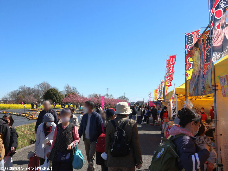 八潮の春を彩る「第20回 花桃まつり」開催 中川やしおフラワーパークに花桃と菜の花の絶景