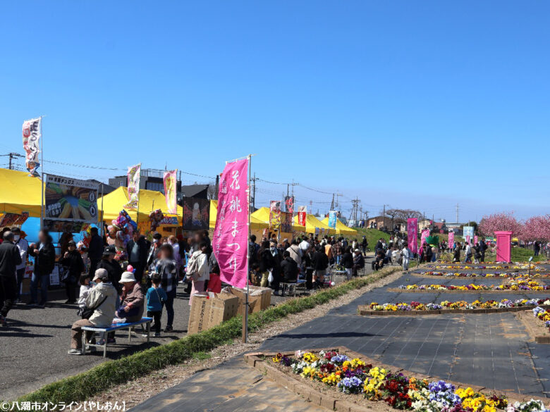 八潮の春を彩る「第20回 花桃まつり」開催 中川やしおフラワーパークに花桃と菜の花の絶景