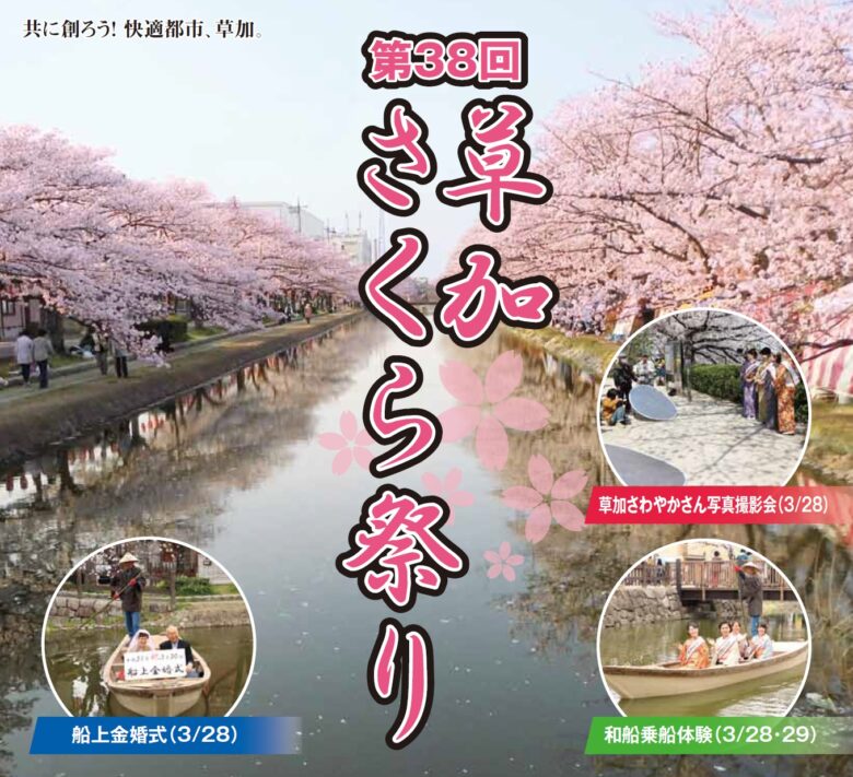 第38回草加さくら祭り開催 葛西用水の桜並木で春満開の1週間