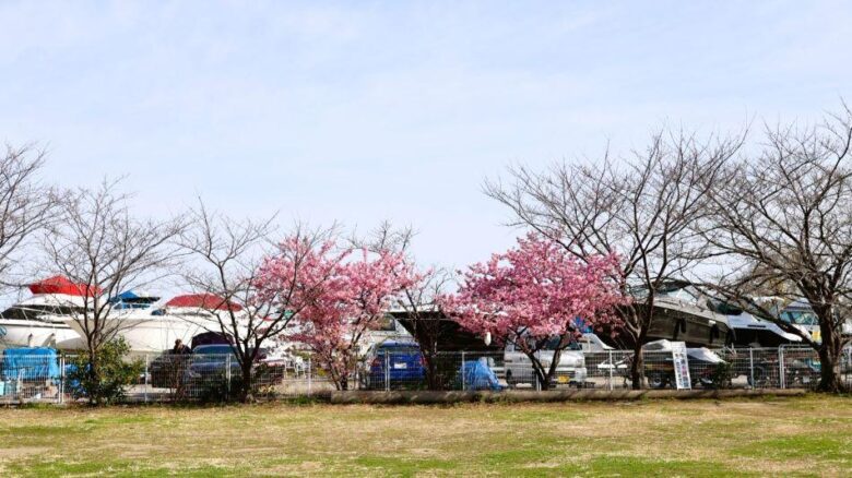 2年ぶりの「花桃まつり」へ準備着々　フラワーパークで地域合同の「夢拾い」清掃活動