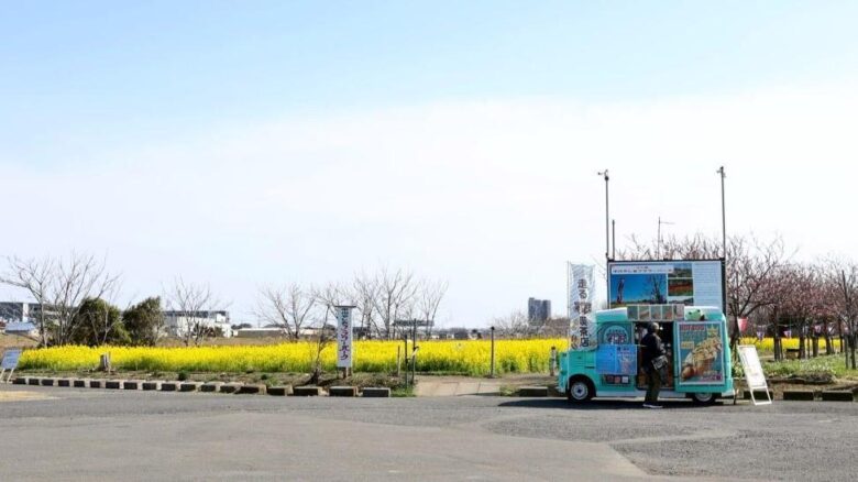 2年ぶりの「花桃まつり」へ準備着々　フラワーパークで地域合同の「夢拾い」清掃活動