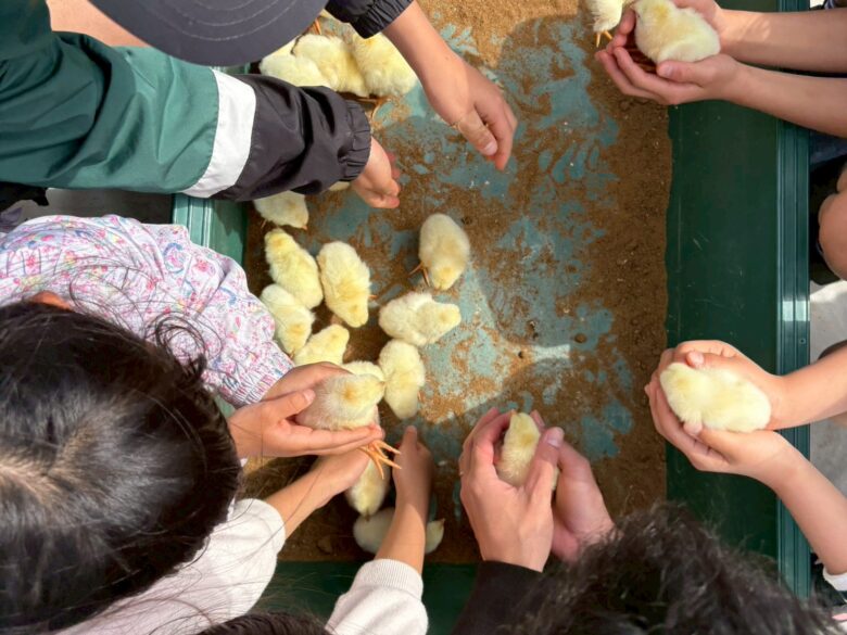 草加・まつばら綾瀬川公園で春フェス開催　親子でときめく「子どもフェスタ」体験レポ
