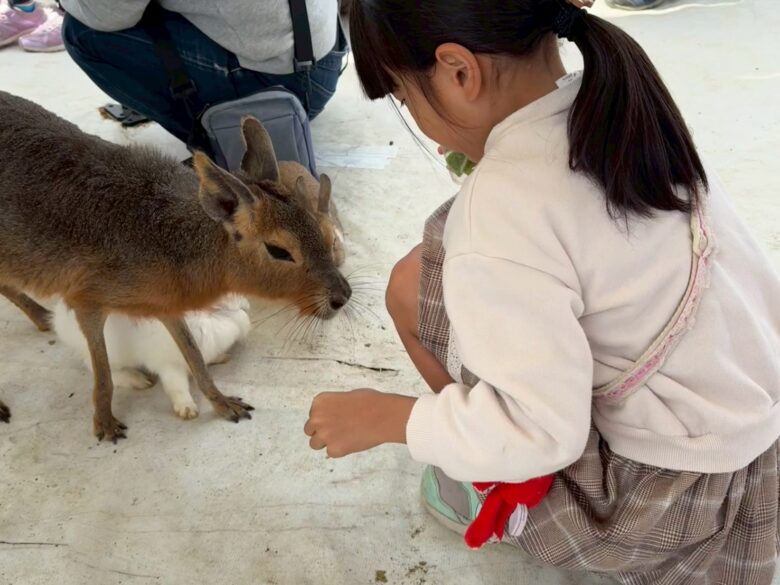 草加・まつばら綾瀬川公園で春フェス開催　親子でときめく「子どもフェスタ」体験レポ