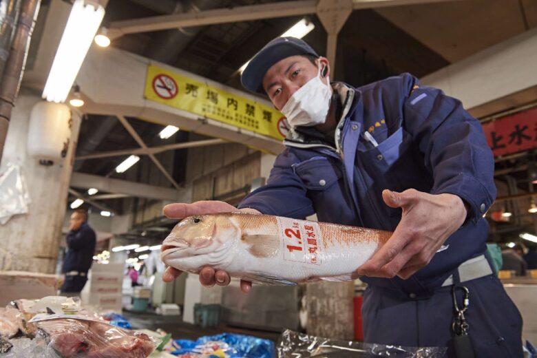 都内唯一の水産市場を一般開放「あだち市場の日」5月9日開催　鮮魚や食堂グルメを満喫