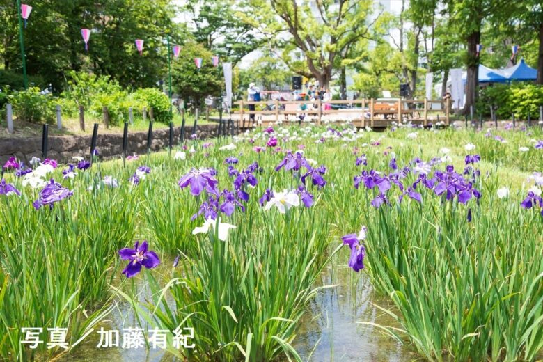 TX沿線自治体共同ウォーキングイベント「2026 TX沿線 トリップウォーク」開催