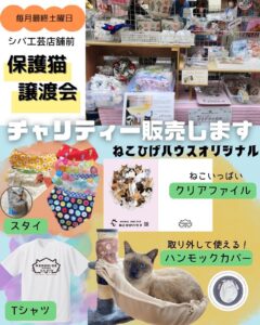 【八潮市】保護猫との出会いとチャリティー販売を楽しもう　5月30日に「ねこひげハウス」譲渡会開催