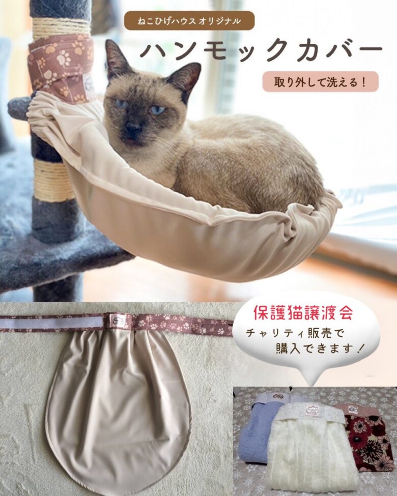 【八潮市】保護猫との出会いとチャリティー販売を楽しもう　5月30日に「ねこひげハウス」譲渡会開催