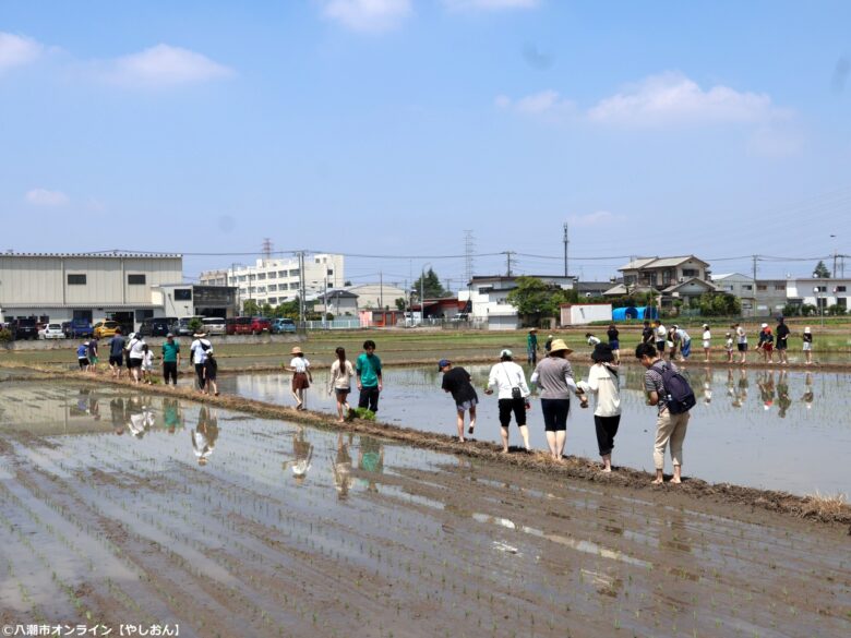 泥んこになって学ぶ“食”の大切さ　第11回「八潮ふるさと体験教室」田植え体験を開催