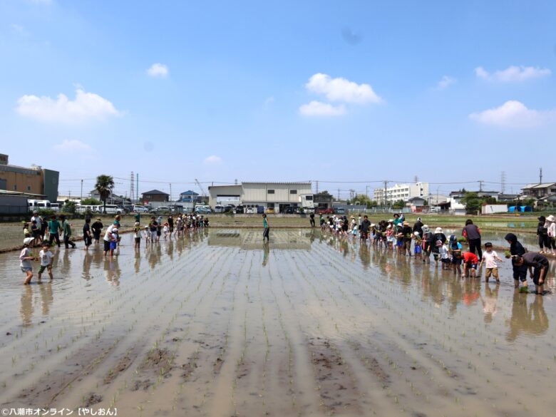 泥んこになって学ぶ“食”の大切さ 第11回「八潮ふるさと体験教室」田植え体験を開催