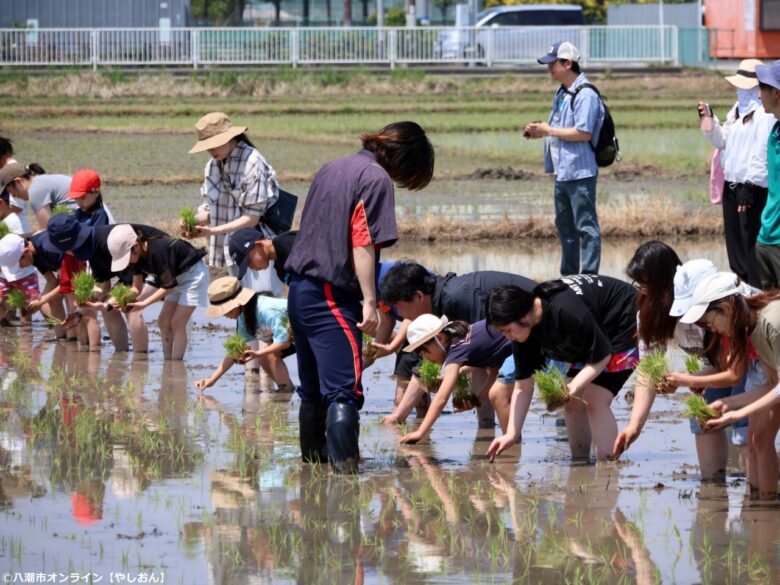 泥んこになって学ぶ“食”の大切さ 第11回「八潮ふるさと体験教室」田植え体験を開催