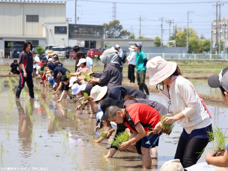 泥んこになって学ぶ“食”の大切さ 第11回「八潮ふるさと体験教室」田植え体験を開催